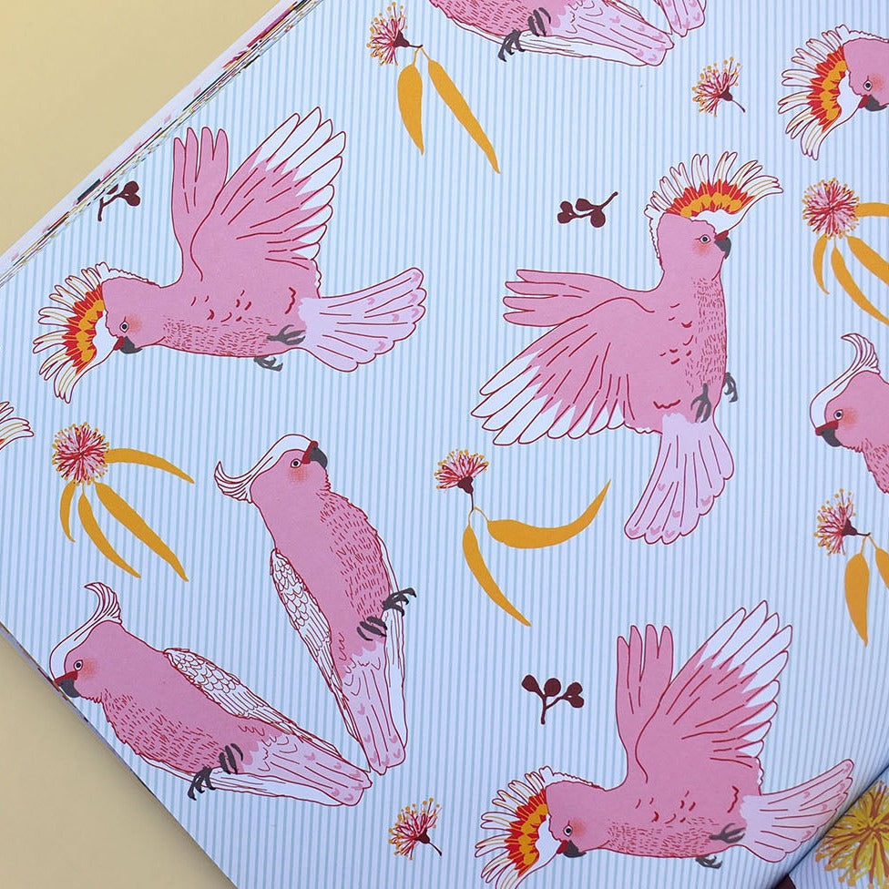 BOOKS & CO - ALL WRAPPED UP: Australia by Alice Oehr