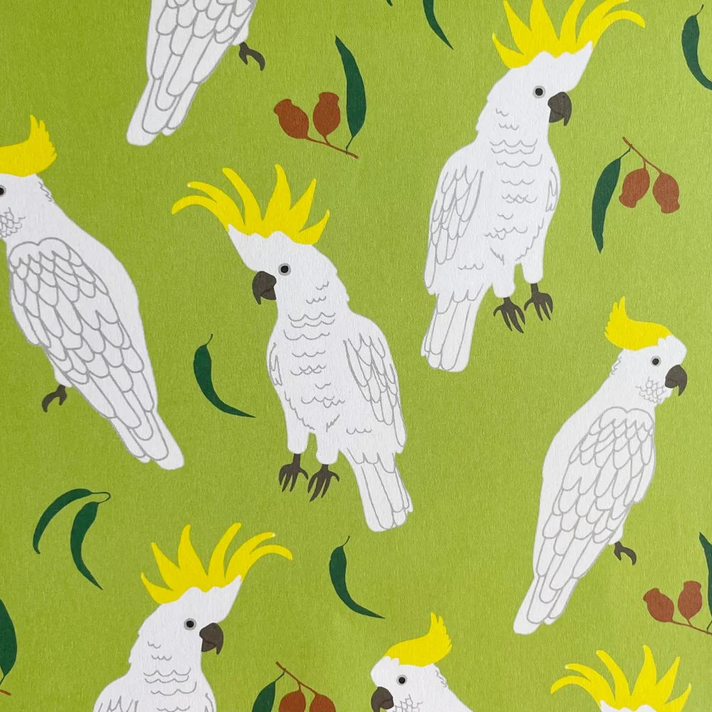 BOOKS & CO - ALL WRAPPED UP: Australia by Alice Oehr