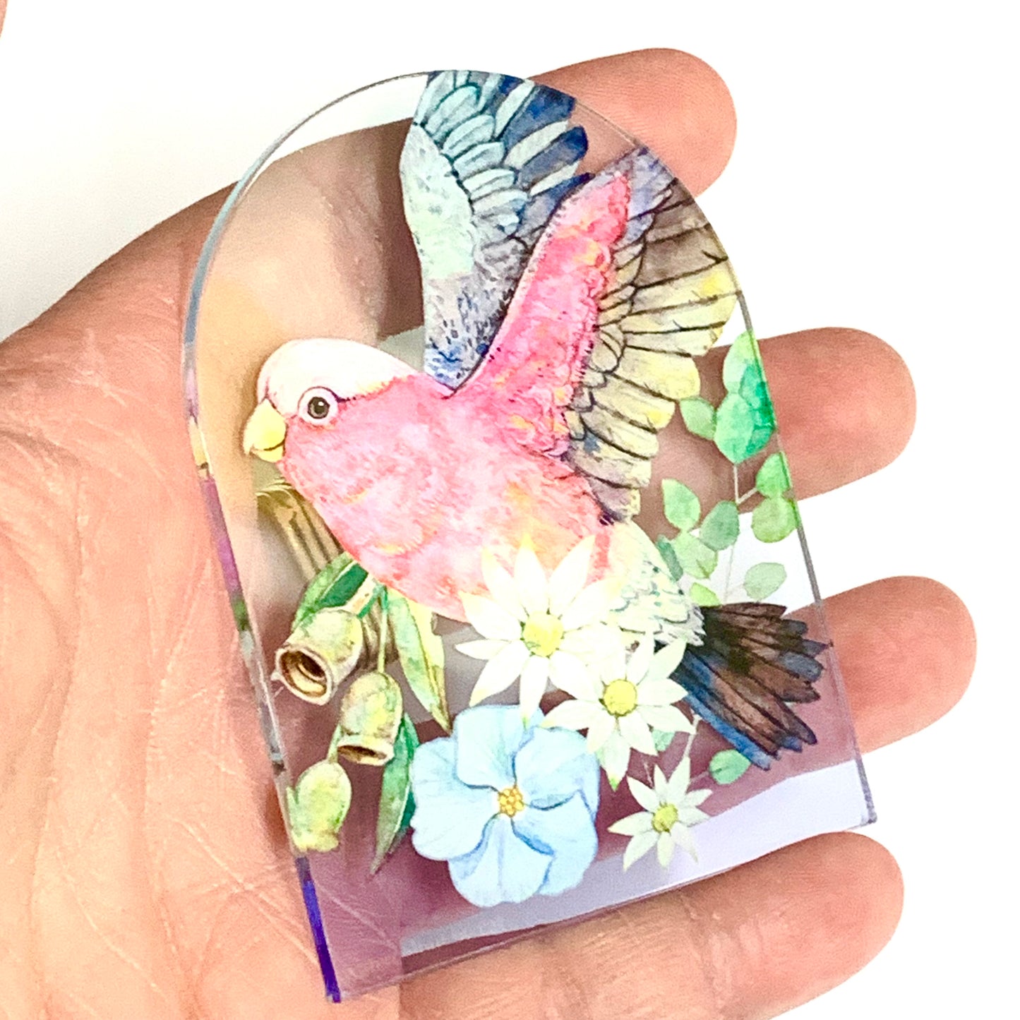 WATERCOLOURS BY CAT- Galah - Australian Bird Art Magnet