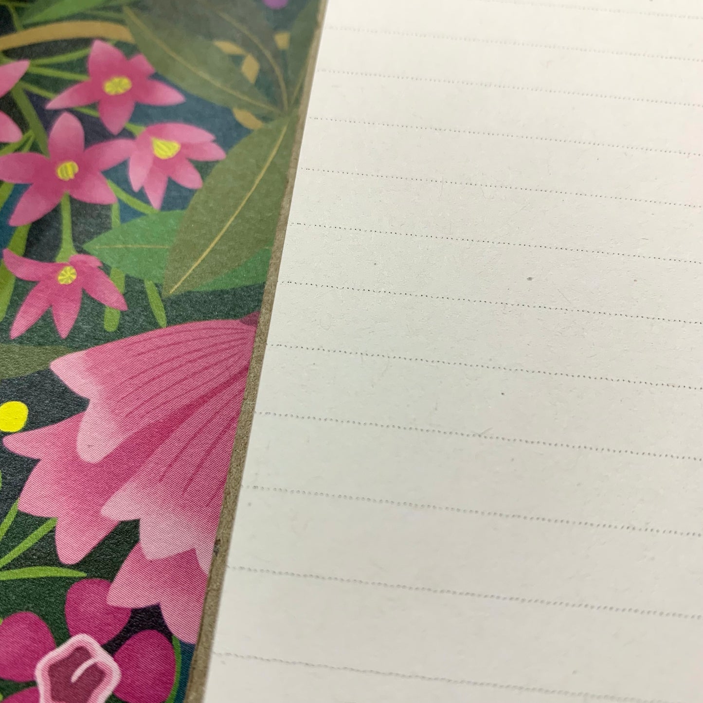 EARTH GREETINGS- A5 Lined Journal- Native Gems- Claire Ishino