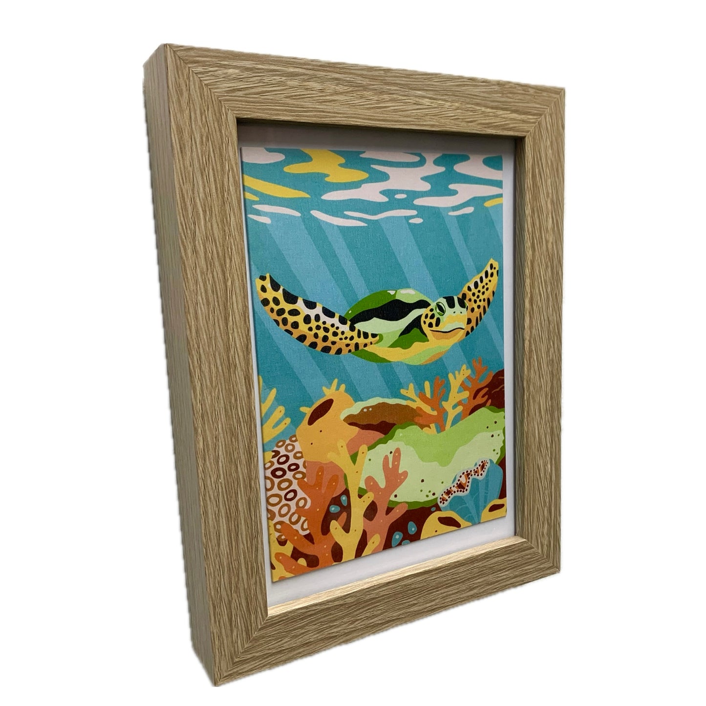 OUTER ISLAND - "Turtle" Framed Image