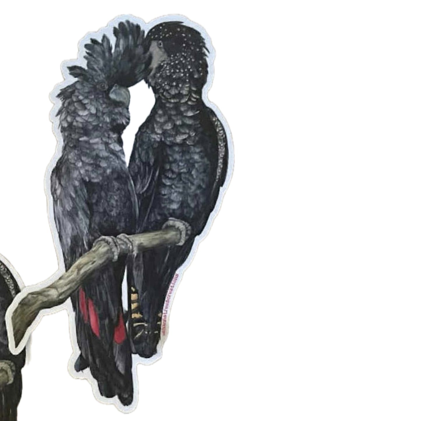 Shanna Trees Creations- Red Tail Black Cockatoo Couple- Large Sticker