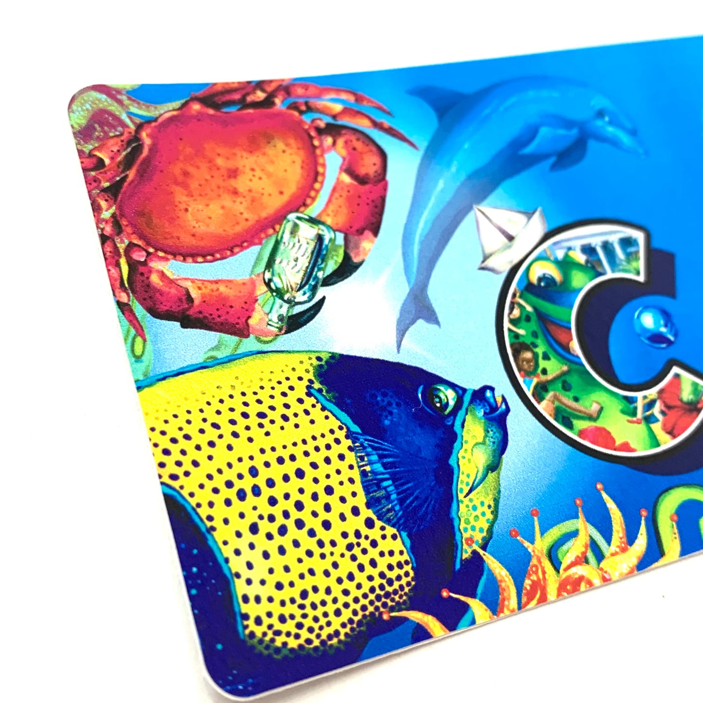 HAYLEY GILLESPIE - CAIRNS REEF - BUMPER STICKERS