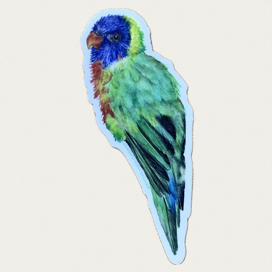 Shanna Trees Creations- Rainbow Lorikeet Large Sticker