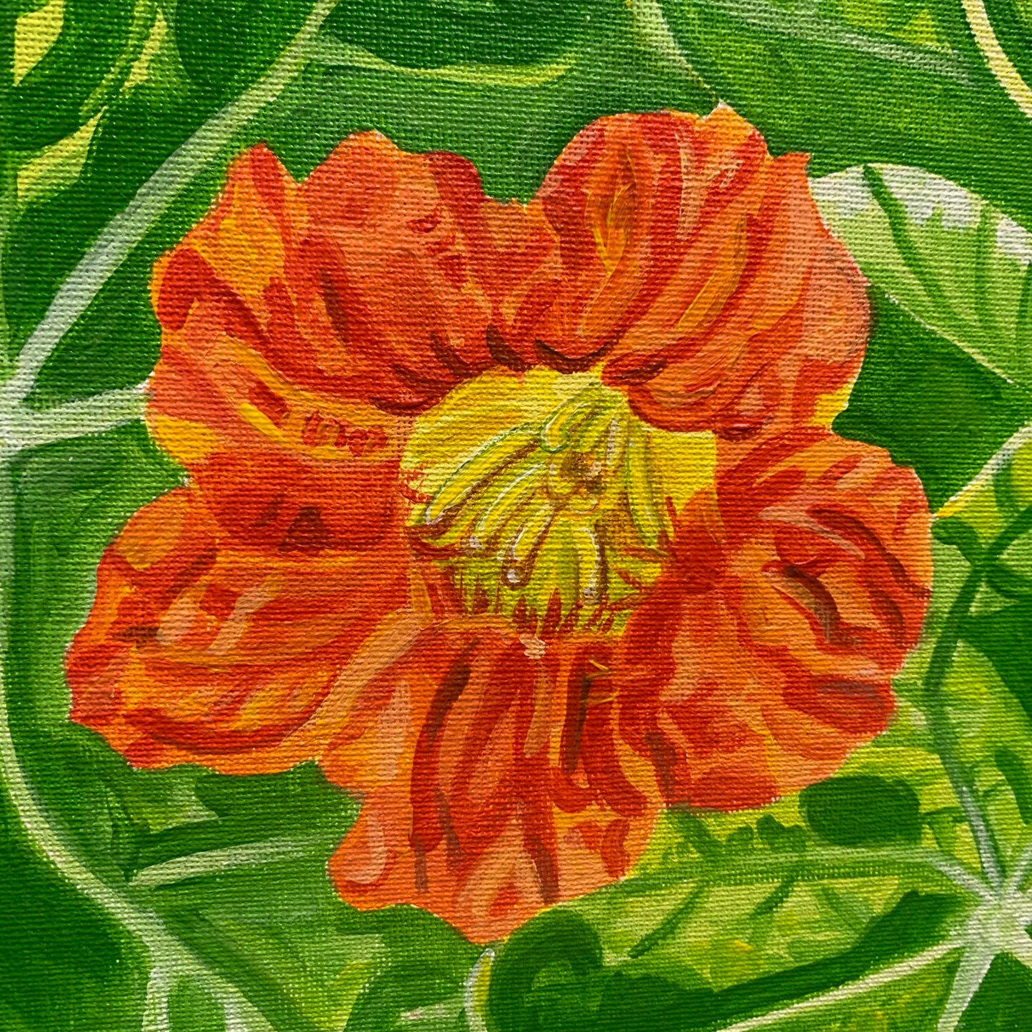 CARLEY CLARKE-RUSHTON - "Nasturtium" PAINTING