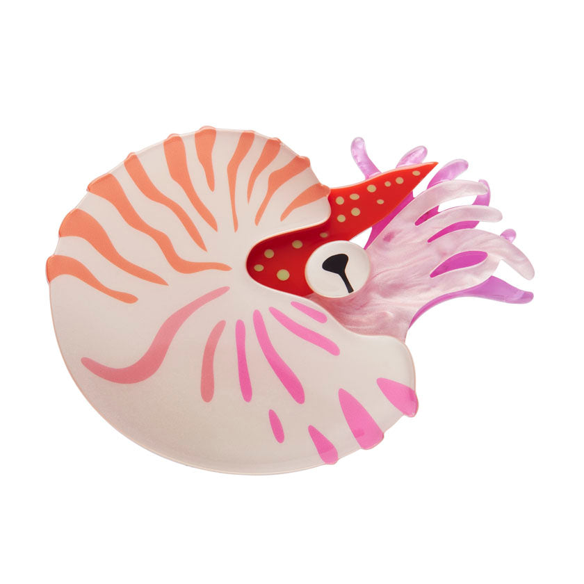 ERSTWILDER - "Chambered Nautilus" Brooch - GREAT BARRIER REEF COLLECTION
