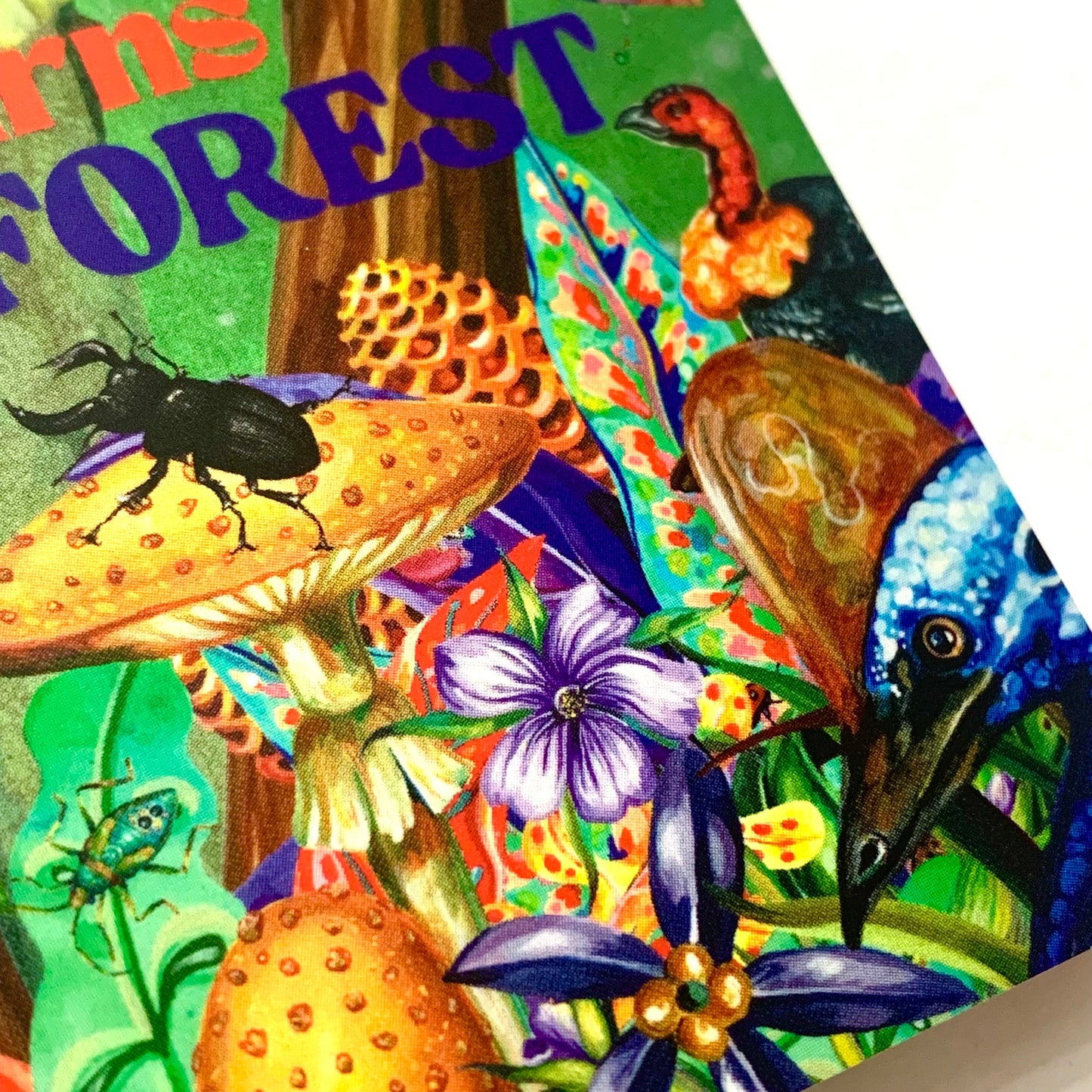 HAYLEY GILLESPIE - "CAIRNS RAINFOREST"- POSTCARD