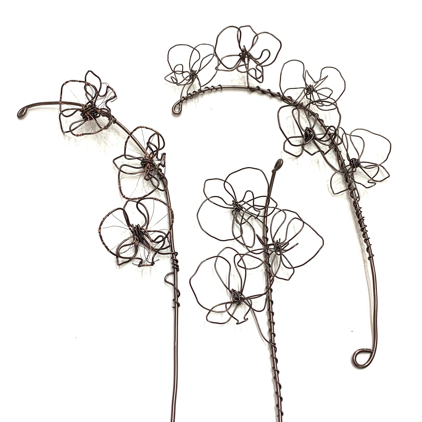CARLEY CLARKE-RUSHTON - "Orchid #2" Wire Wall Hanging/Sculpture