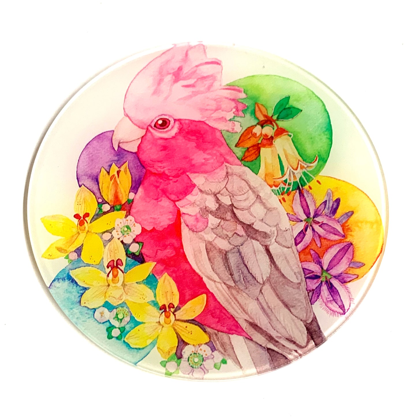 WATERCOLOURS BY CAT- Galah- Australian Bird Art Coaster