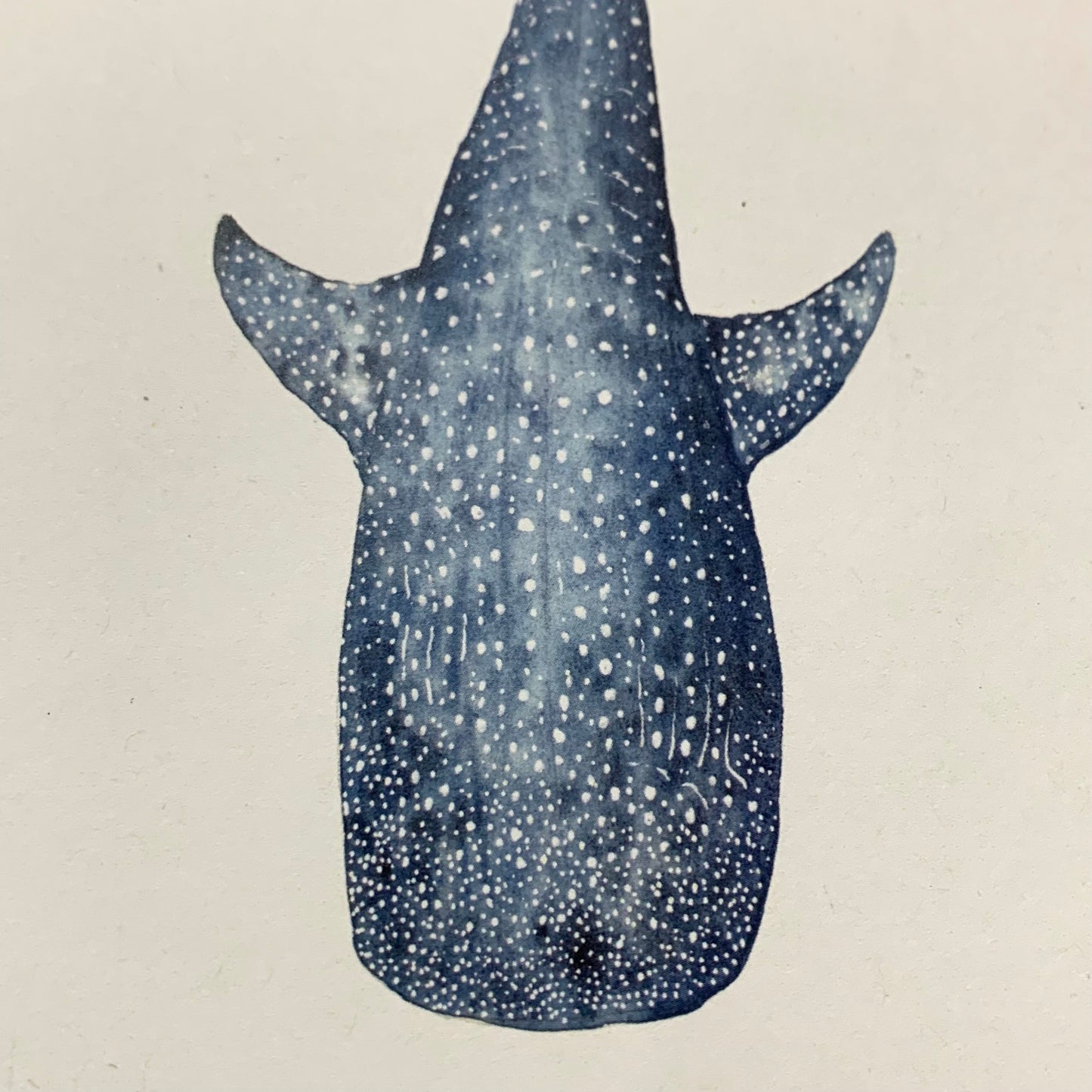 Shanna Trees Creations- Whaleshark- Regular Greeting Card