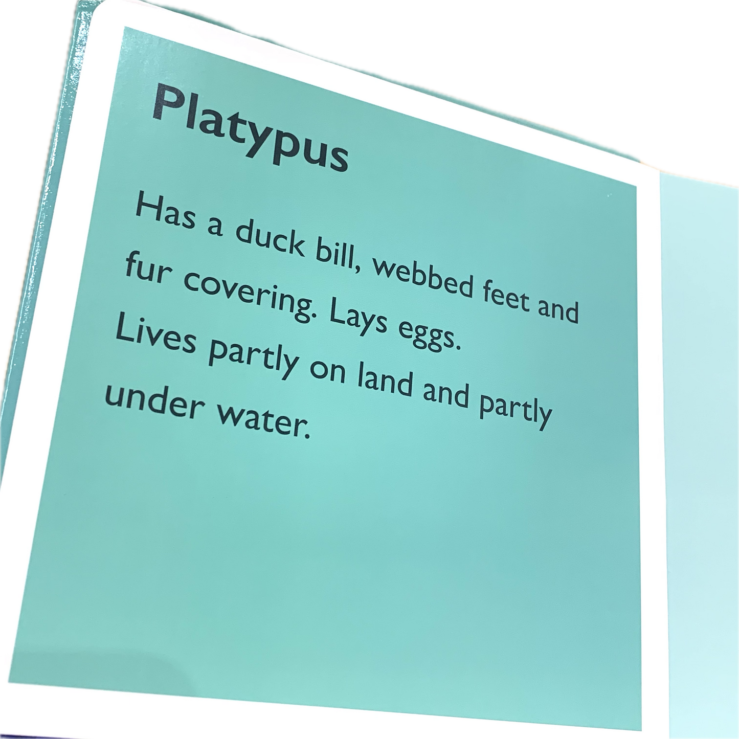 BOOKS & CO - PETE CROMER: AUSTRALIA: FUR - Board Book