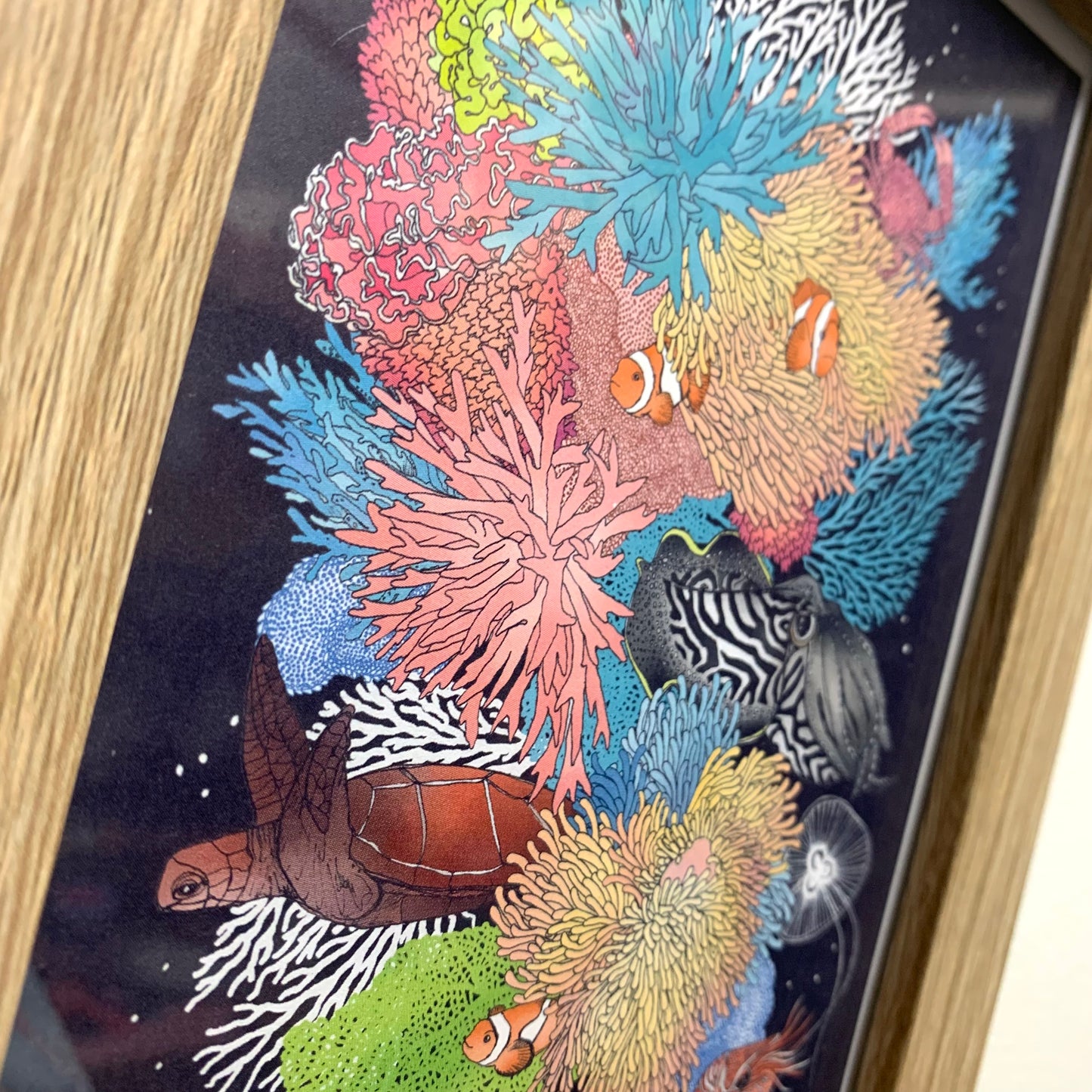 EARTH GREETINGS- "REEF"- FRAMED IMAGE- by Australian artist Victoria McGrane.