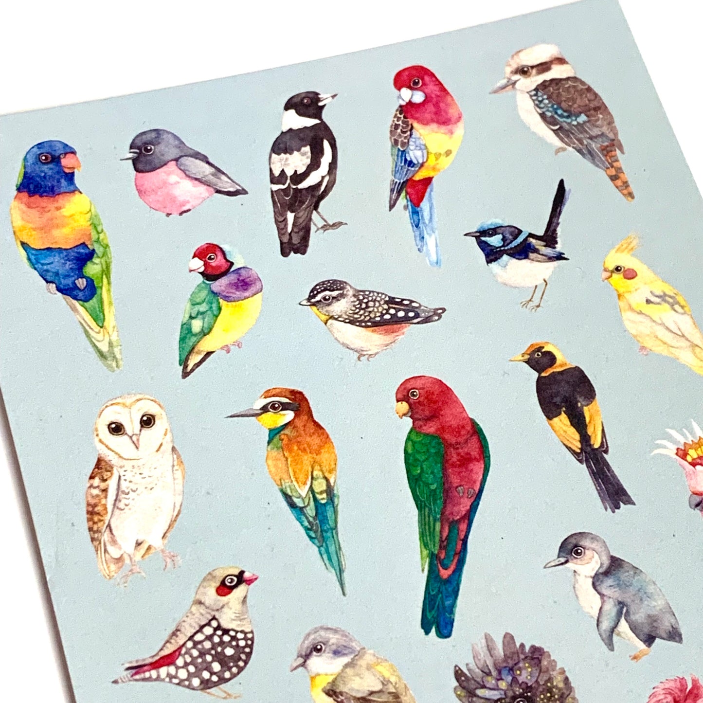 WATERCOLOURS BY CAT- Australian Birds - Recycled Postcard