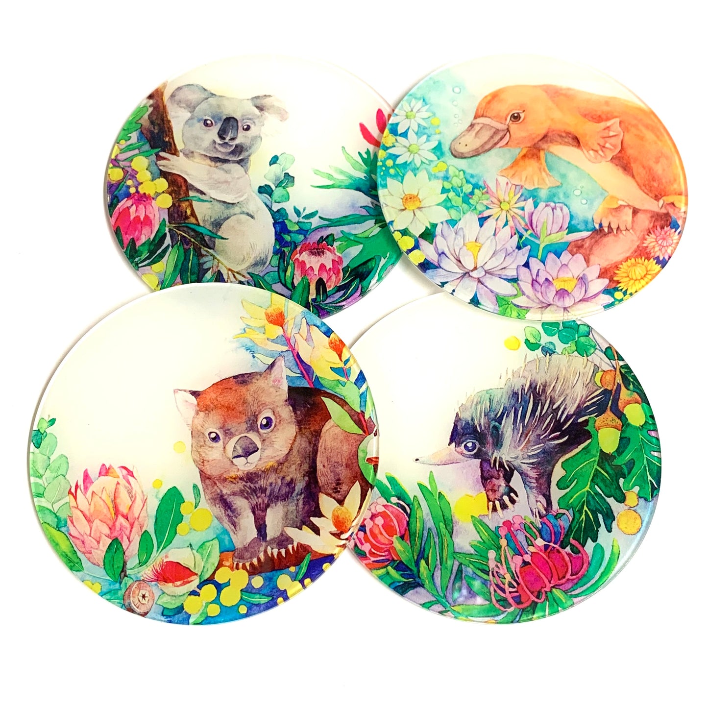 WATERCOLOURS BY CAT- Koala- Australian Animal Art Coaster
