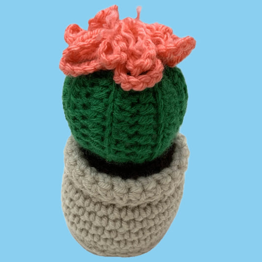BEAKNITS- CROCHETED CACTUS #1- Short Bright Green & Pink