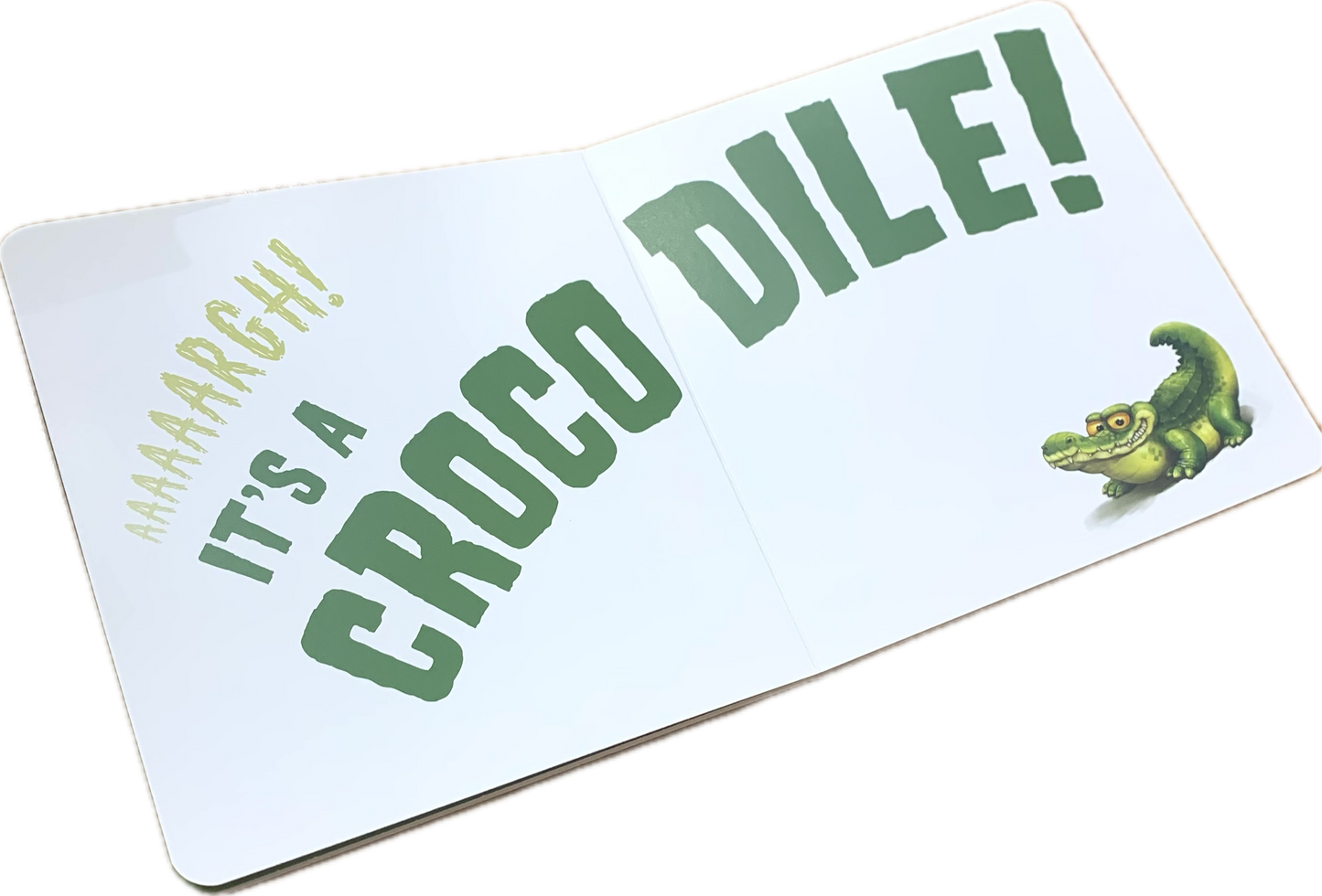 BOOKS & CO - WE’RE GOING ON A CROC HUNT- Laine Mitchell