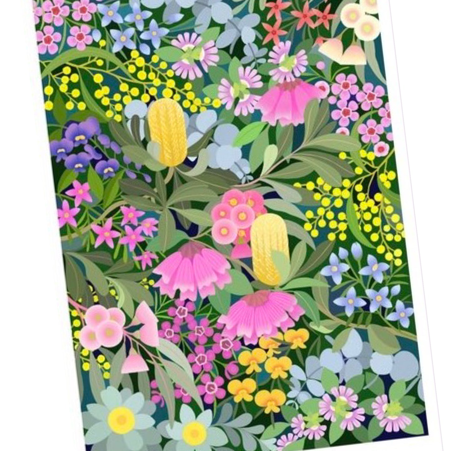 CLAIRE ISHINO- SMALL LIMITED EDITION A5 PRINTS- Australian Native Flora