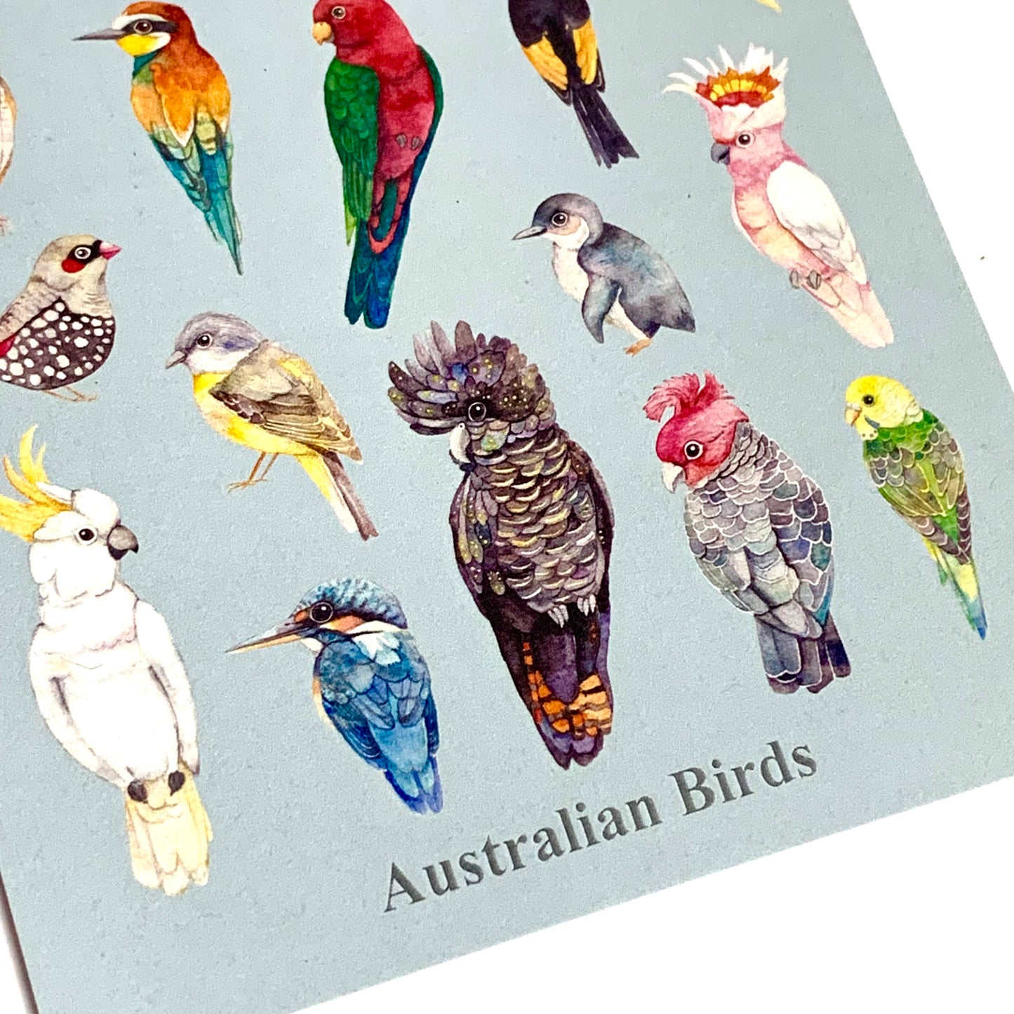 WATERCOLOURS BY CAT- Australian Birds - Recycled Postcard