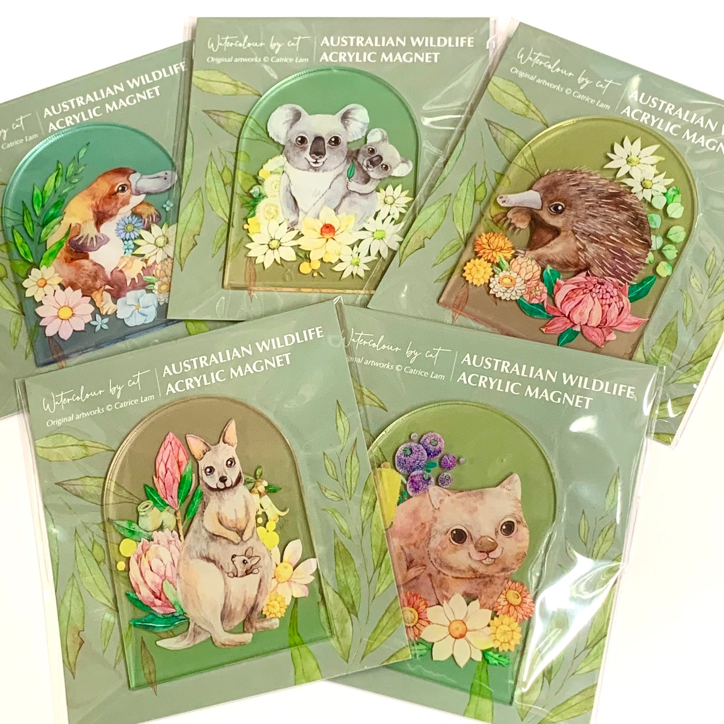 WATERCOLOURS BY CAT- Koala- Australian Animal Art Magnet
