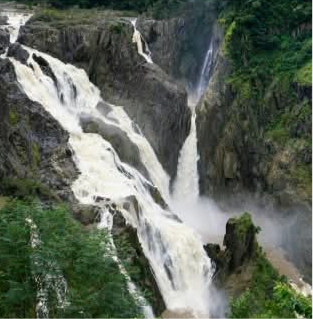 MAKIN' WHOOPEE - BARRON FALLS- POSTCARD