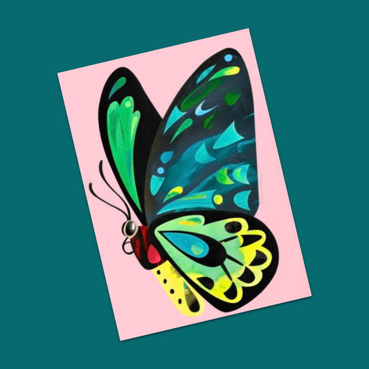 PETE CROMER - CAIRNS BIRDWING BUTTERFLY A4 FINE ART PRINT