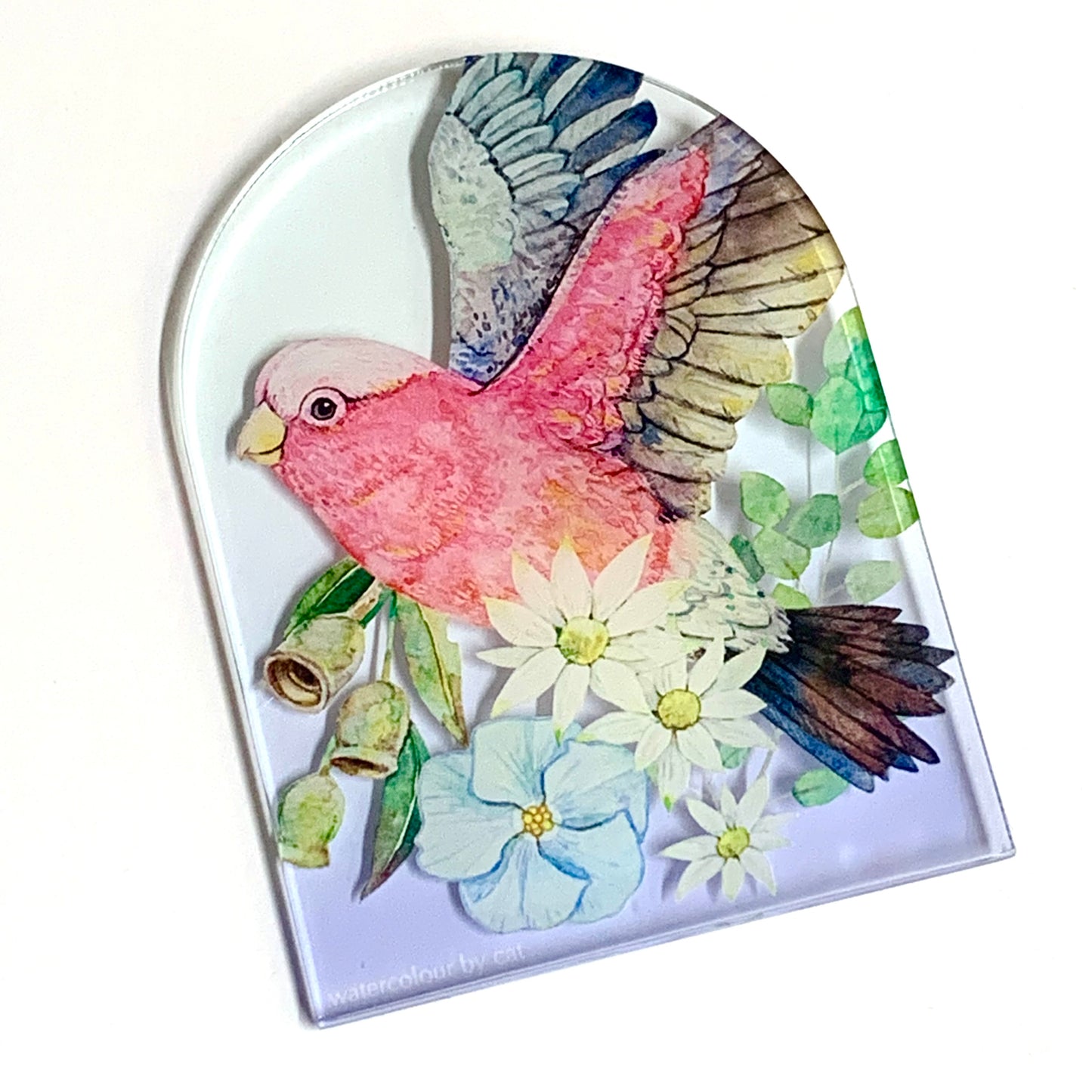 WATERCOLOURS BY CAT- Galah - Australian Bird Art Magnet