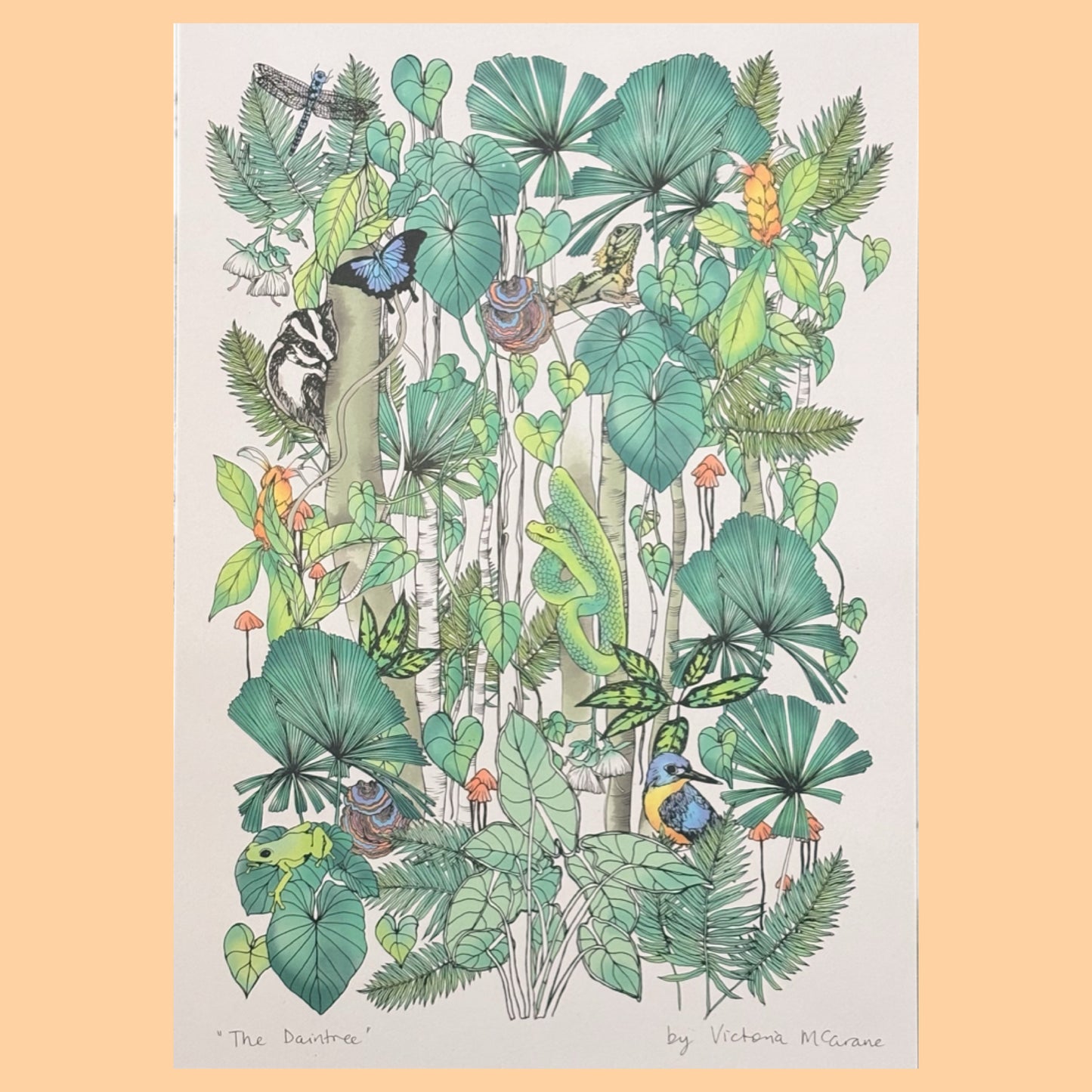 THE SCENIC ROUTE - "THE DAINTREE"- A3 ART PRINT