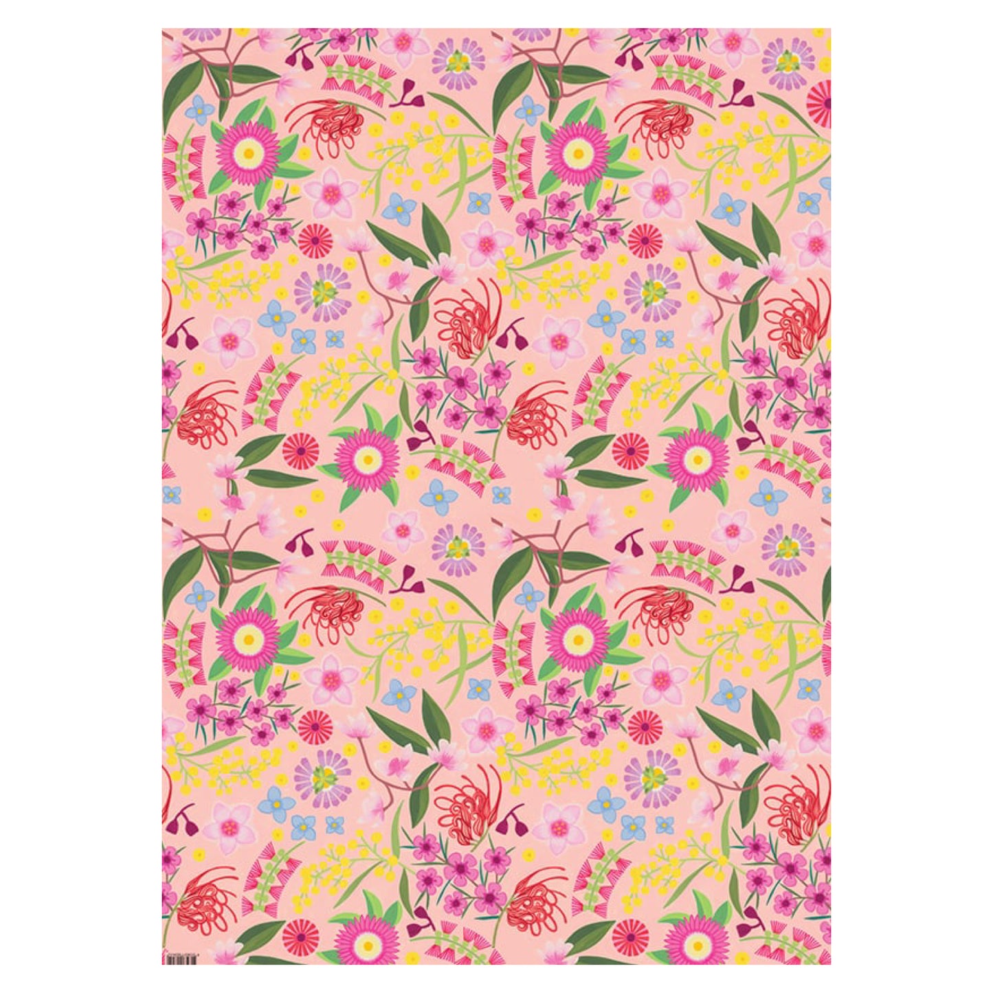 EARTH GREETINGS- Coastal Forage- Folded Gift Wrap