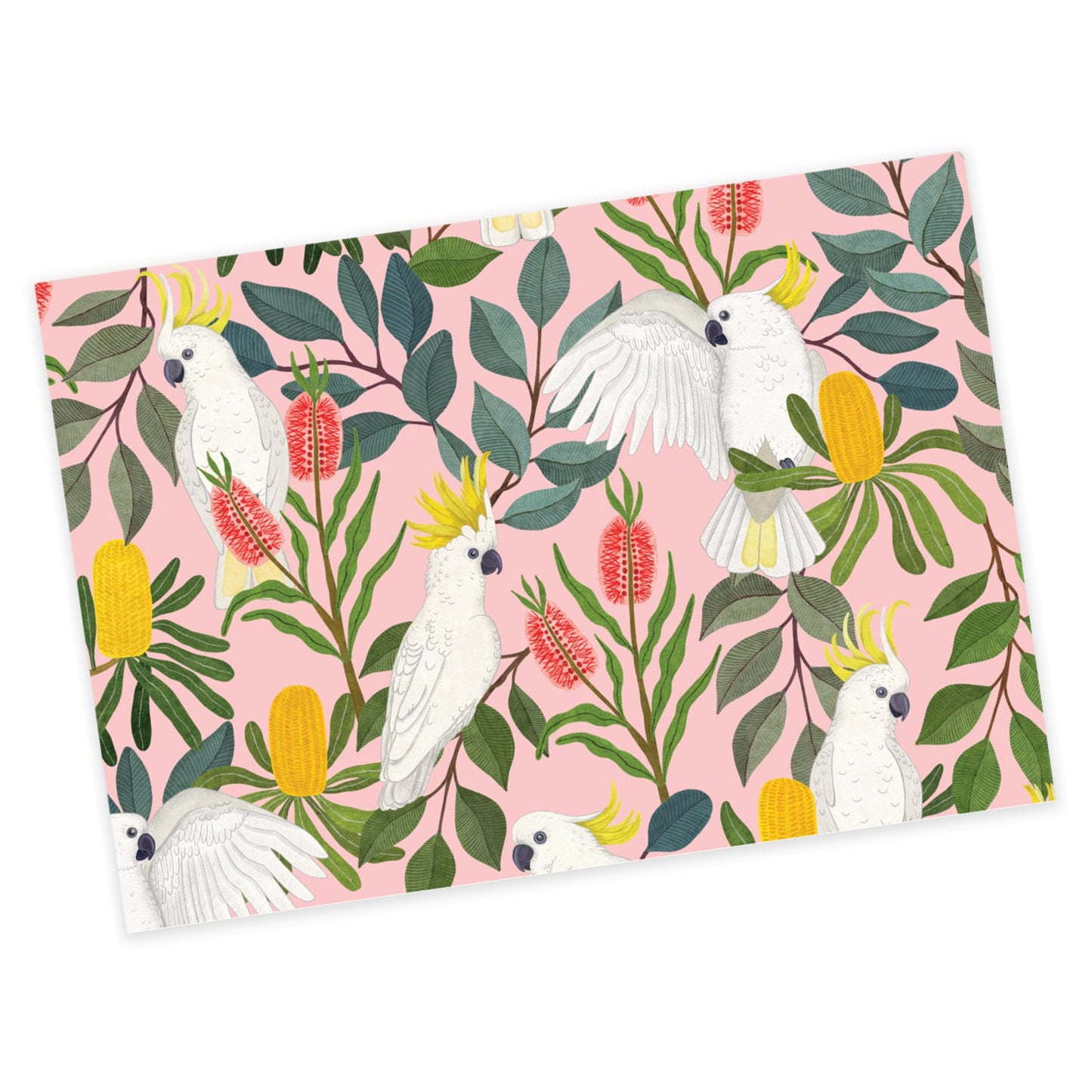 EARTH GREETINGS- Aussie Squawkers Cockatoos- Folded Gift Wrap