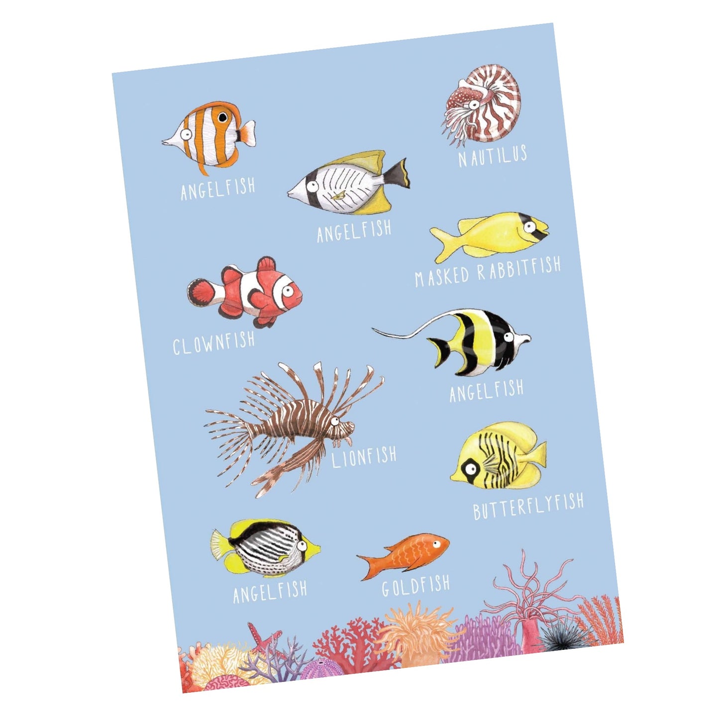 NUOVO - TANIA McCARTNEY "REEF" GREETING CARD