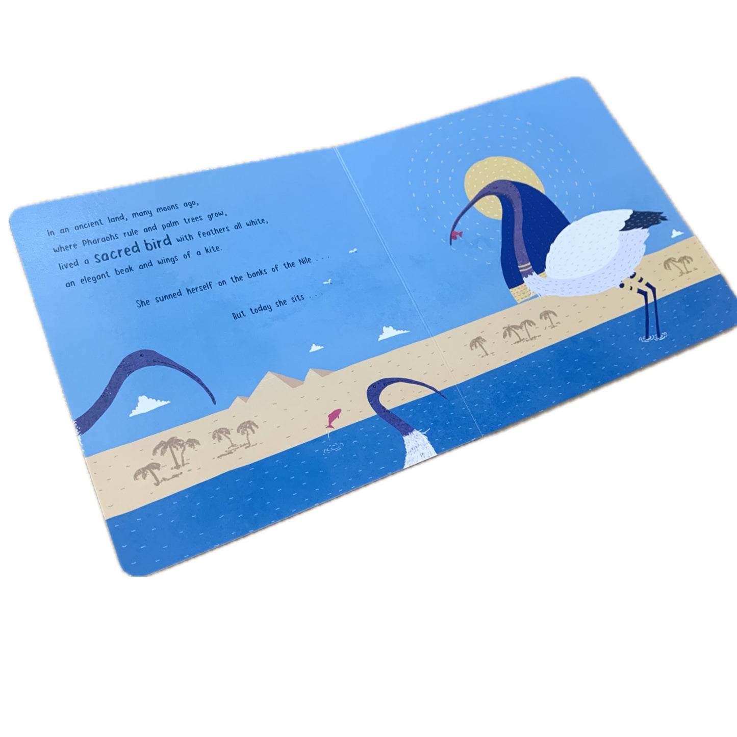 BOOKS & CO - BIN CHICKEN- Board Book- Jol & Kate Temple