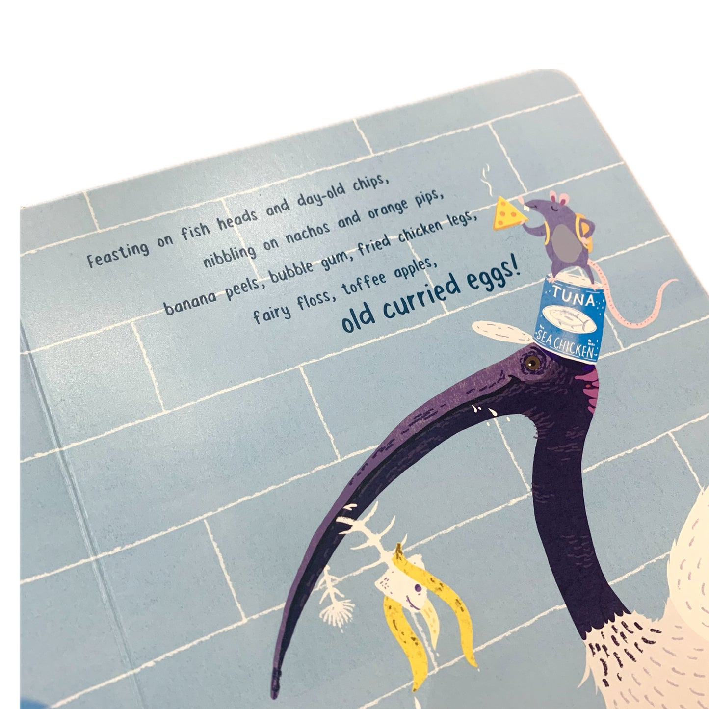 BOOKS & CO - BIN CHICKEN- Board Book- Jol & Kate Temple
