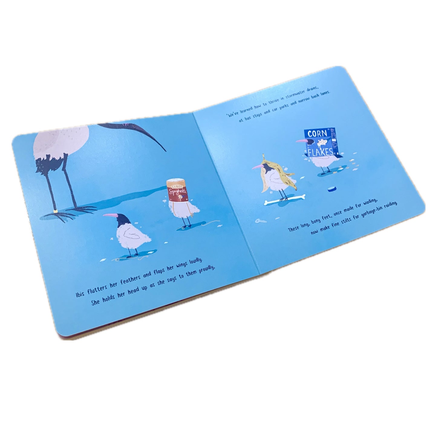 BOOKS & CO - BIN CHICKEN- Board Book- Jol & Kate Temple