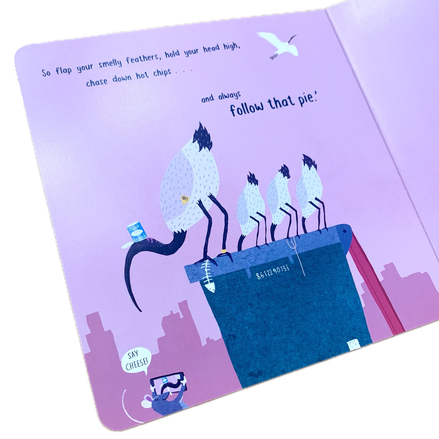BOOKS & CO - BIN CHICKEN- Board Book- Jol & Kate Temple