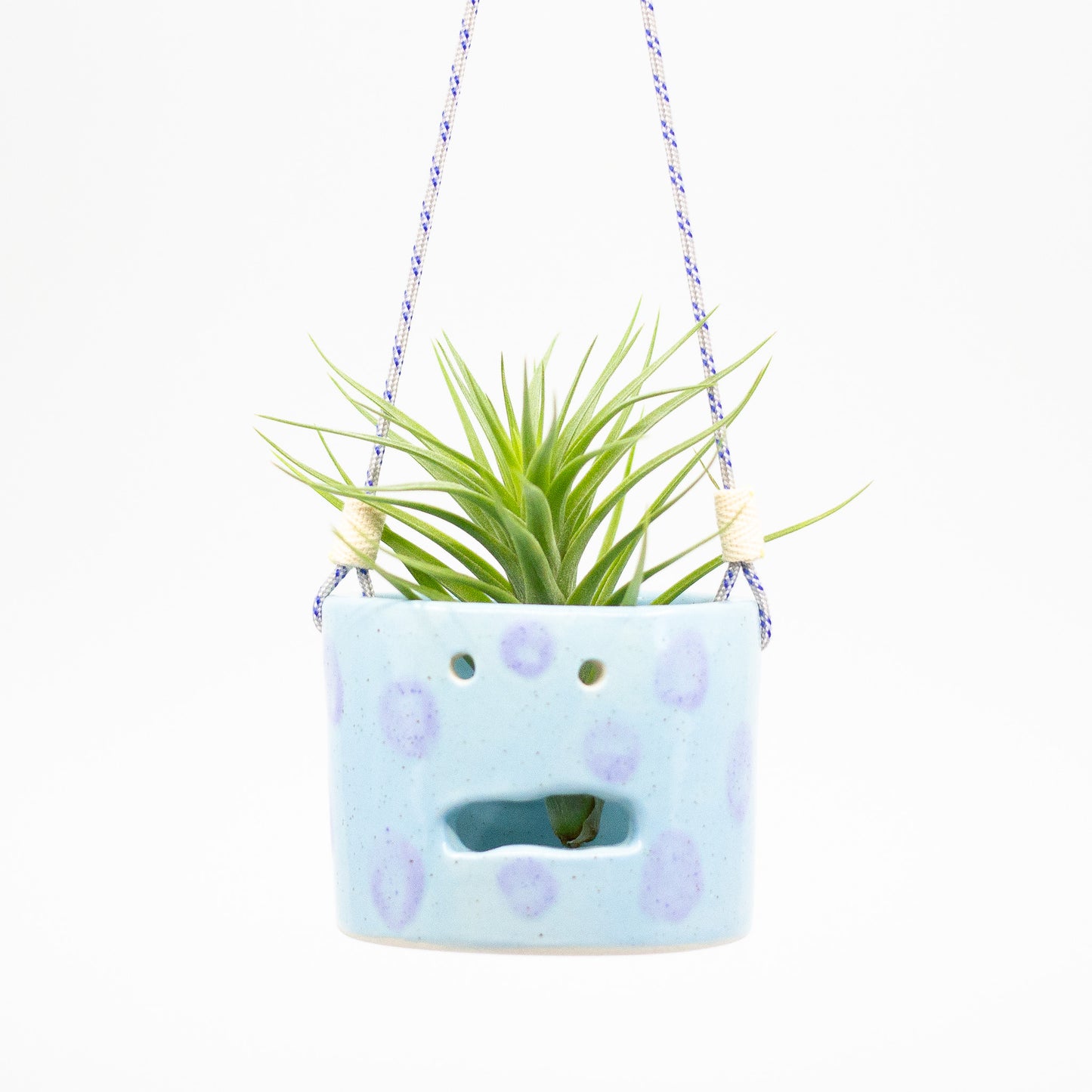 SHUH- RAINDROPS HANGING PLANTER