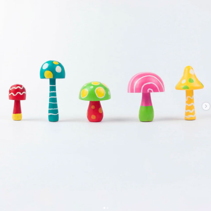 JOURNEY OF SOMETHING- Paint Your Own Wooden Mushrooms Kit