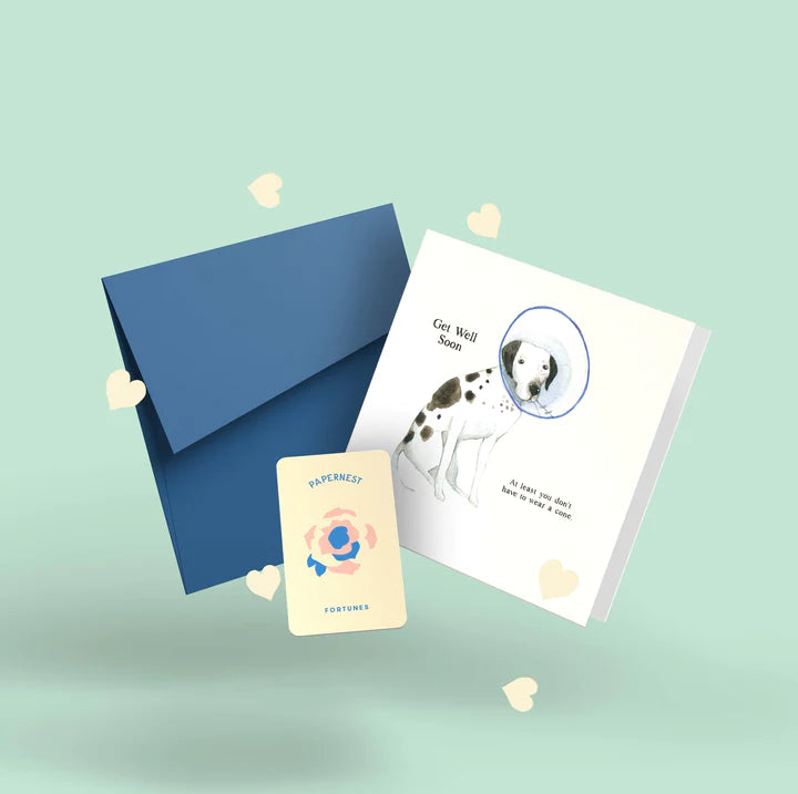 PAPERNEST - "At Least You Don't Have To Wear A Cone" Get Well Greeting Card