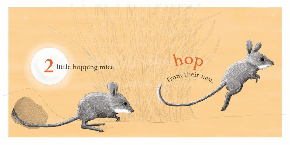 BOOKS & CO - RENEE TREML - Ten Little Owls - Small Board Book