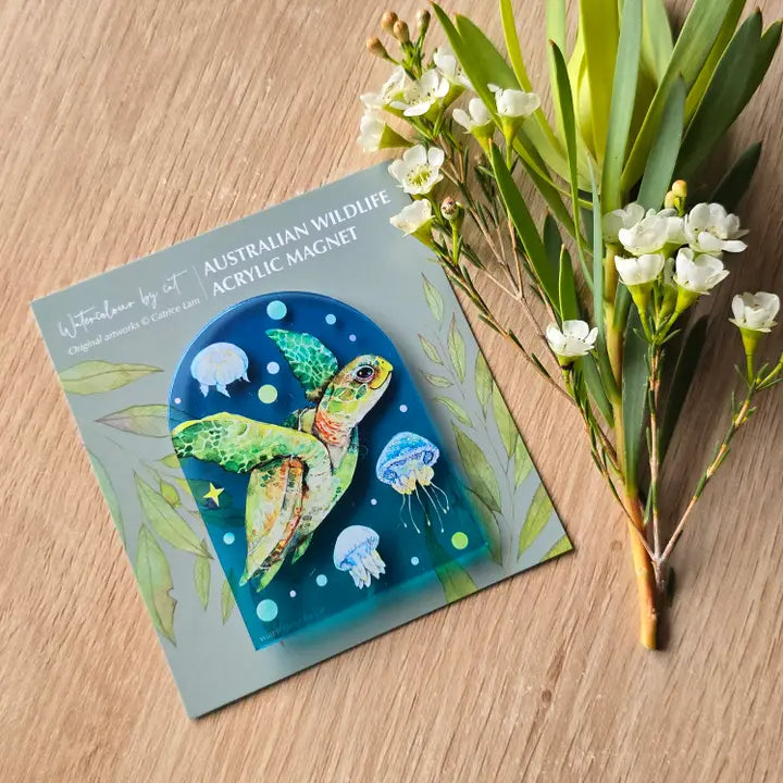 WATERCOLOURS BY CAT- Turtle- Australian Marine Animal Art Magnet