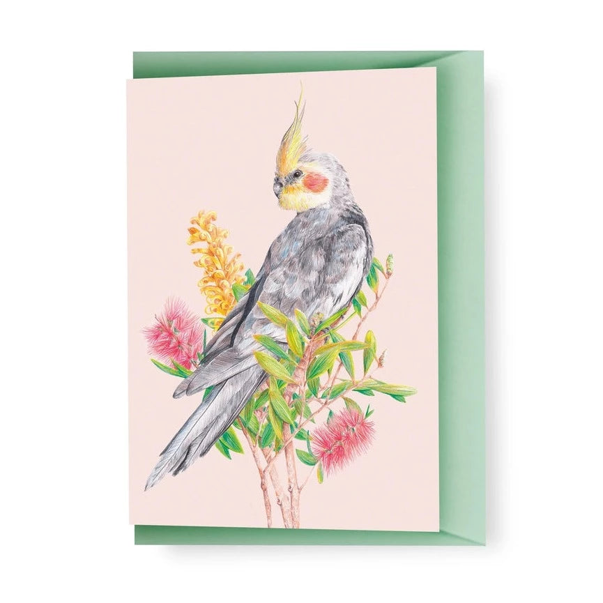 KAYLA REAY- Cockatiel Greeting Card