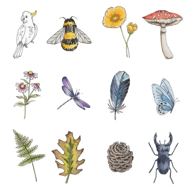 YOUR WILD BOOKS- Wild Memory Card Game