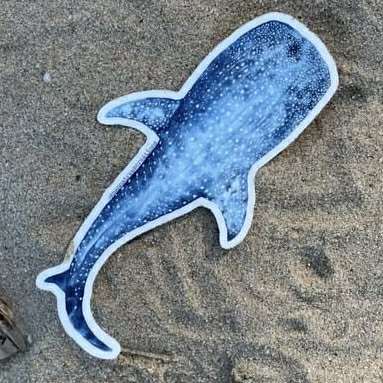 Shanna Trees Creations- Whale Shark Large Sticker