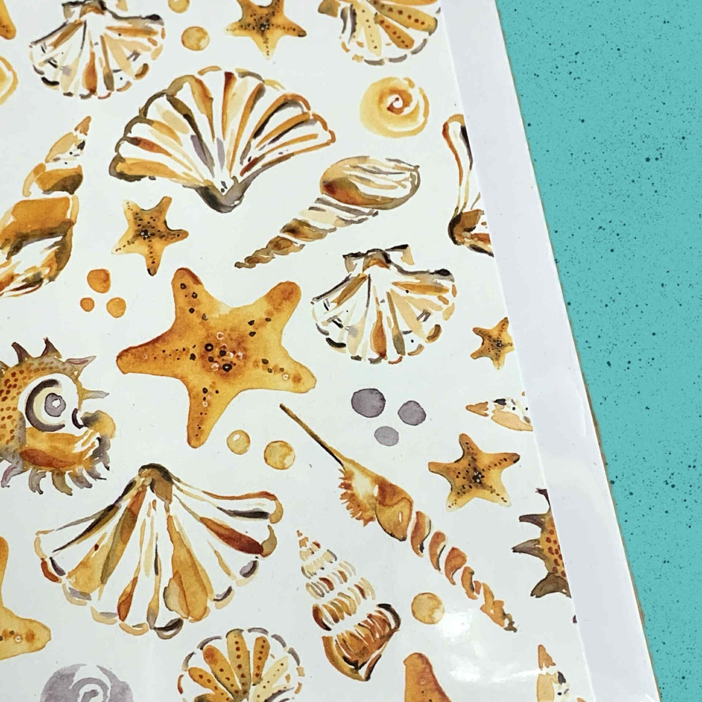 ESZTER'S CREATIONS- "Shells"- Greeting Card