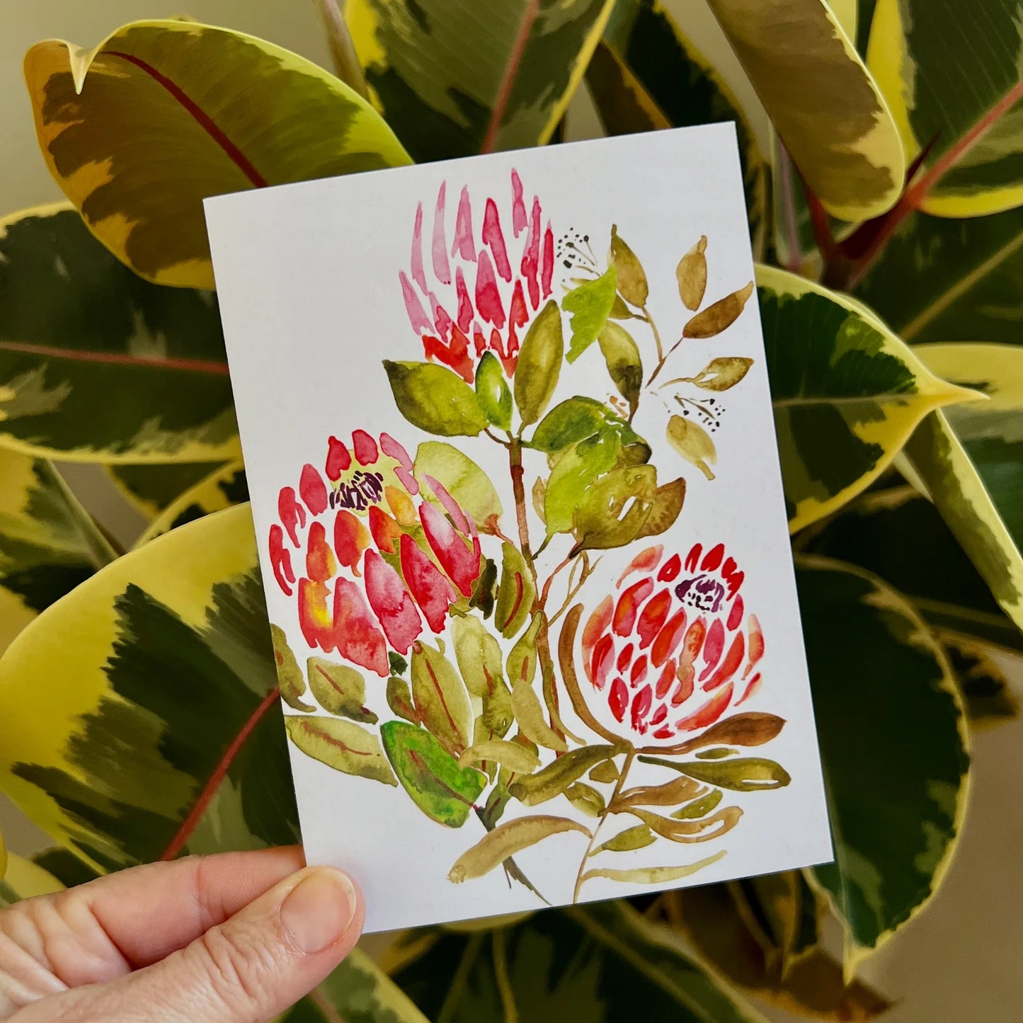 ESZTER'S CREATIONS- "Protea"- Greeting Card
