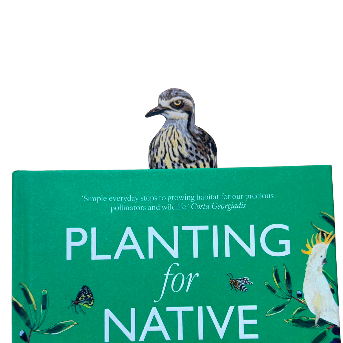 DWAYNSKI.3D - "Curlew" Urban Birds Bookmark