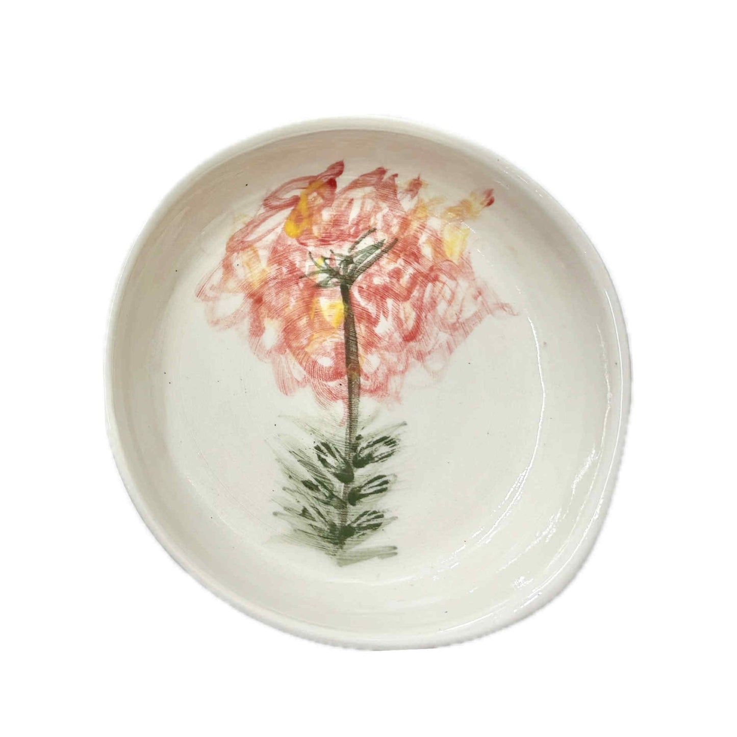 EARTH BY HAND- Bottlebrush Hand Painted Dishes