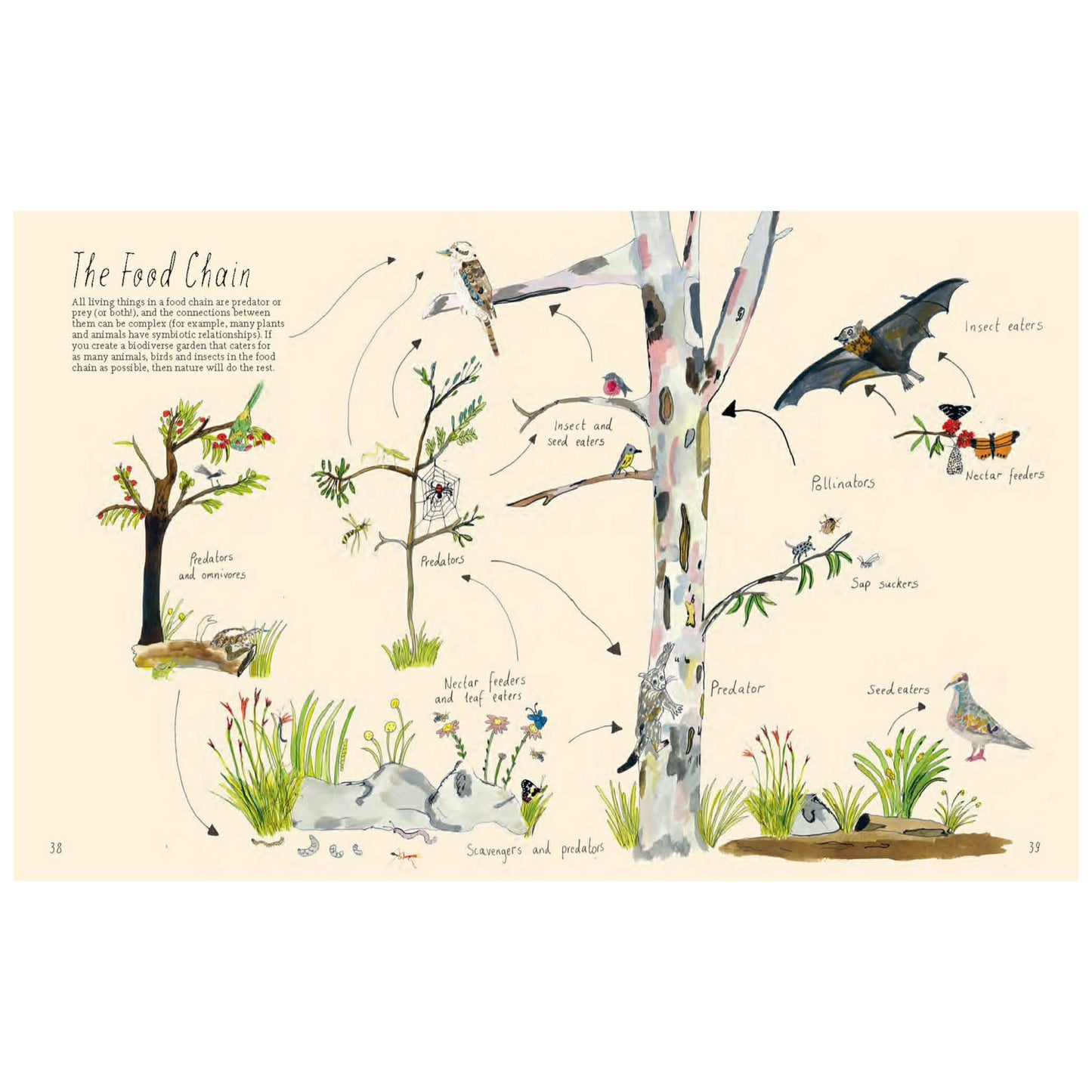 BOOKS & CO - Planting for Native Birds, Bees and Butterflies - Jaclyn Crupi