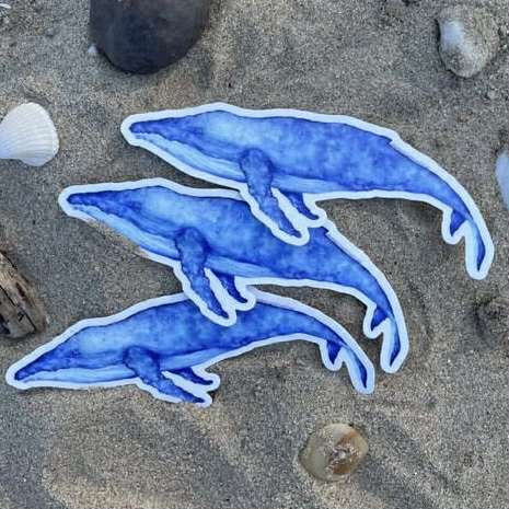 Shanna Trees Creations- Whale Large Sticker