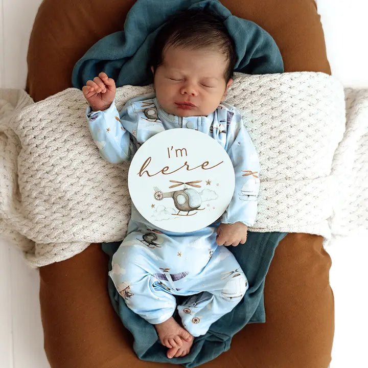 SNUGGLE HUNNY Taking Flight & Pebble Reversible Milestone Cards