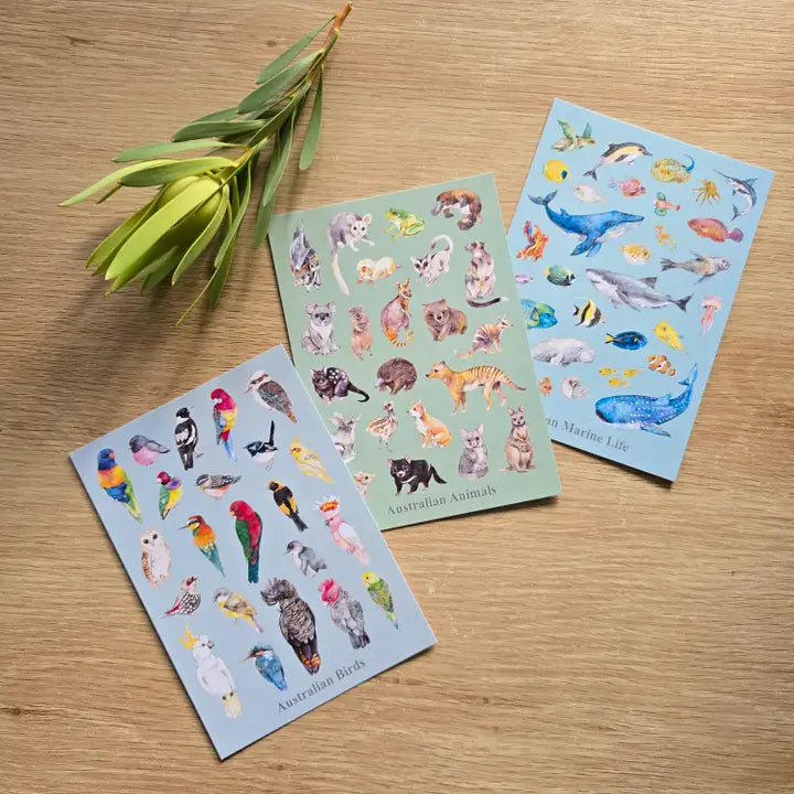 WATERCOLOURS BY CAT- Australian Marine Animals - Recycled Postcard